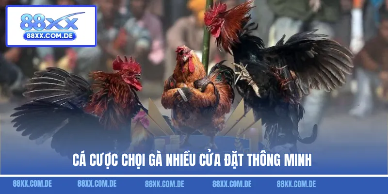Cá cược chọi gà nhiều cửa đặt thông minh